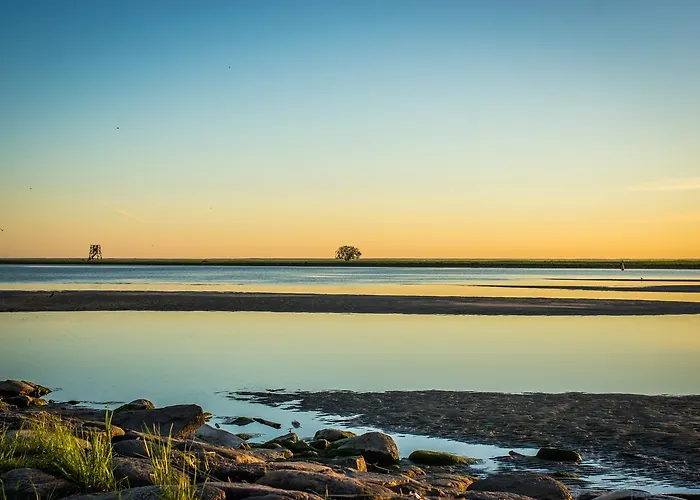 Sadama 4 Street * Pärnu