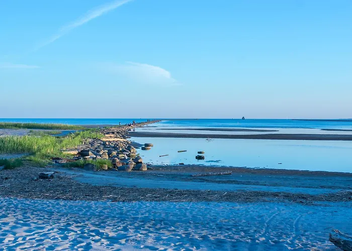 Sadama 4 Street Daire